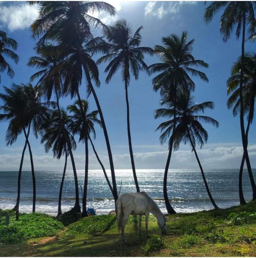 Caraubas - Visual Incrivel O Mar *